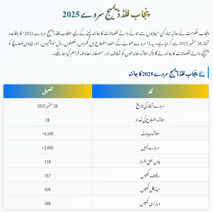 Punjab Flood Damage Survey