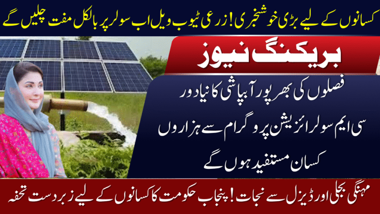 CM Solarization Program