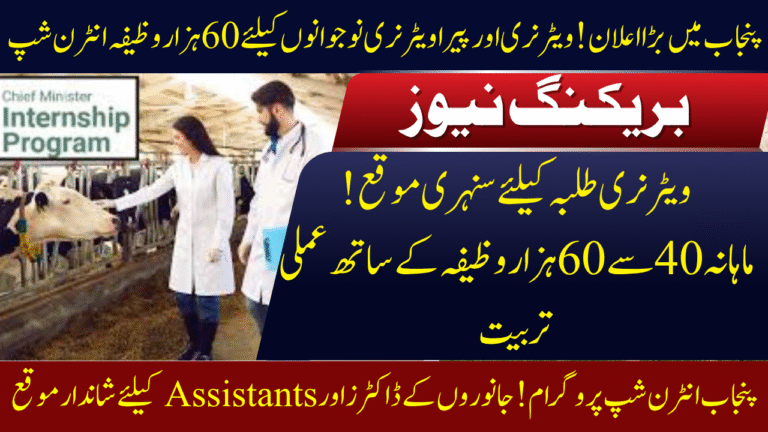 Punjab Internship Program