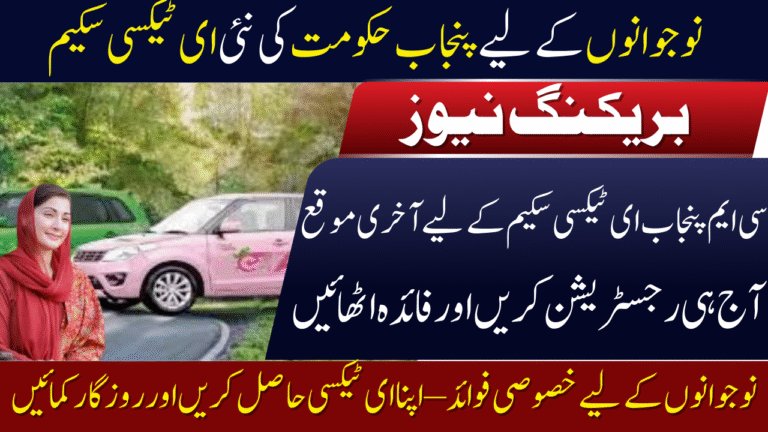 CM Punjab E-Taxi Scheme