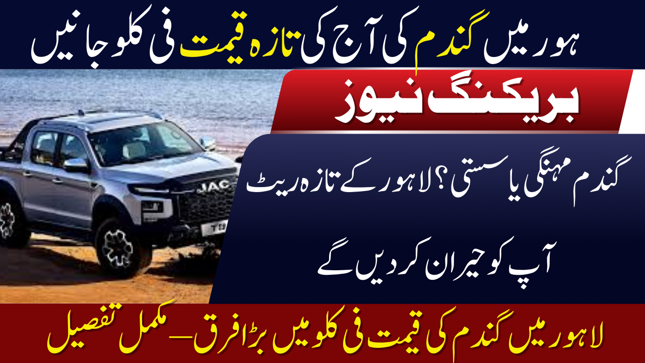 Gandum (Wheat) Price