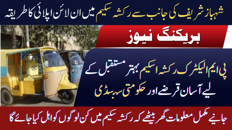 PM Electric Rickshaw Scheme 2025 – Easy Loans and Government Subsidy for a Better Future