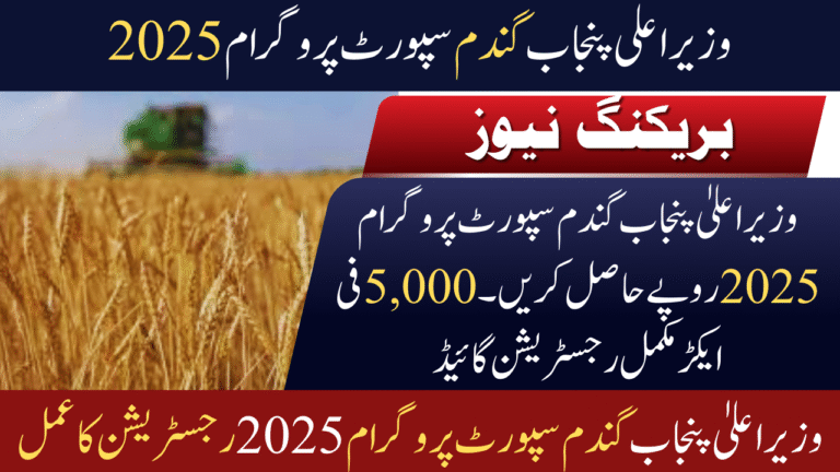 Punjab Wheat Support Program 2025 – Farmers to Get Rs. 5,000 Per Acre Subsidy