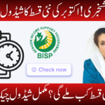 BISP Payment Alert