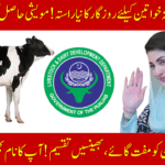 Punjab Widows Livestock Program