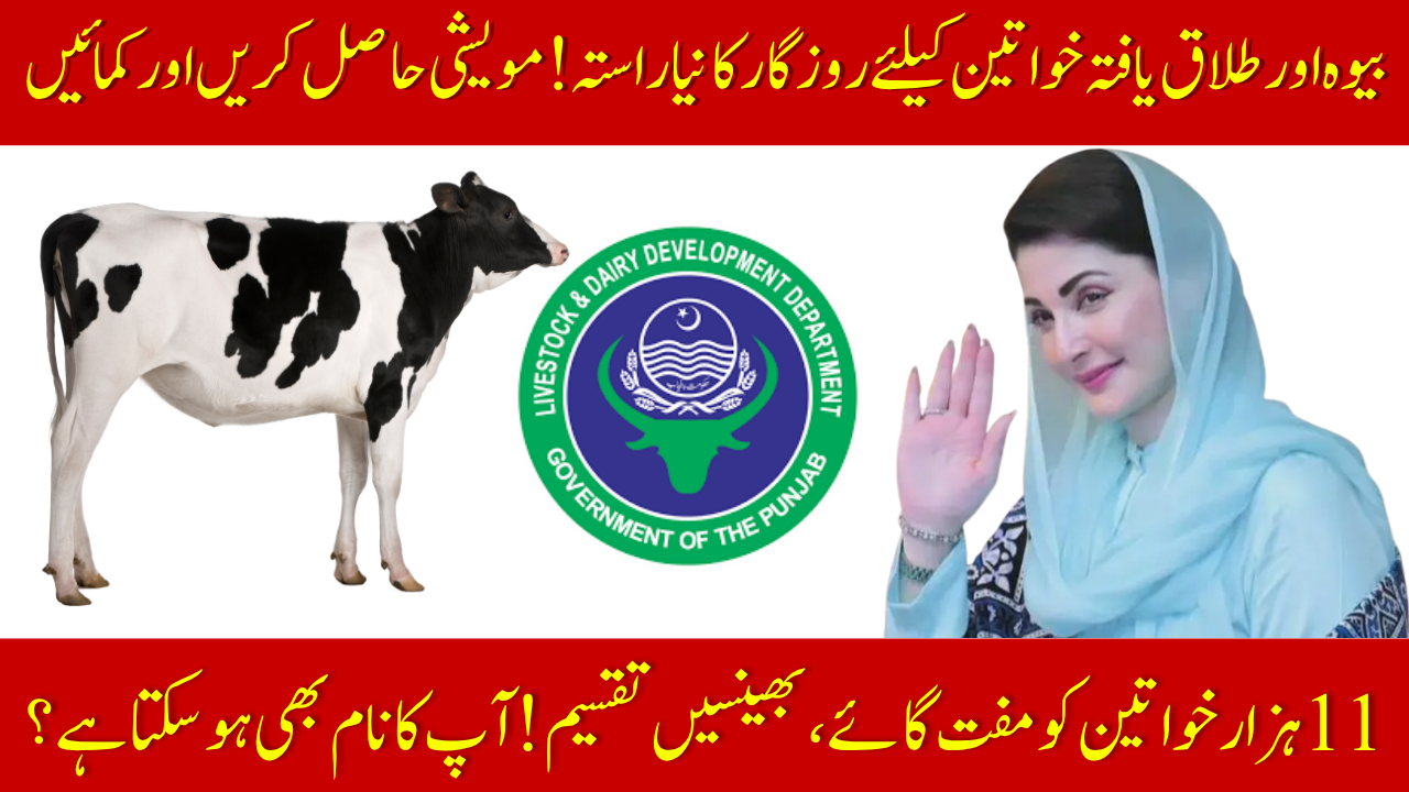 Punjab Widows Livestock Program
