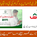 Ehsaas Program CNIC Check Online