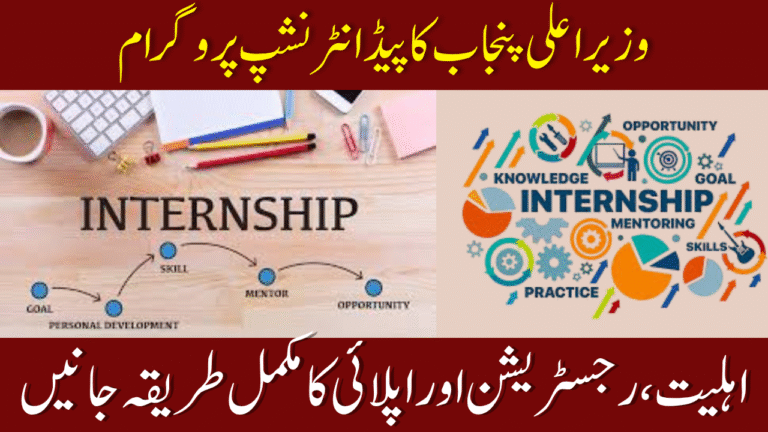 Government Paid Internship Program