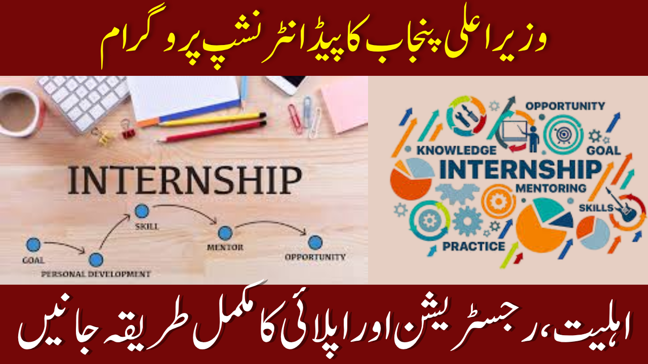 Government Paid Internship Program
