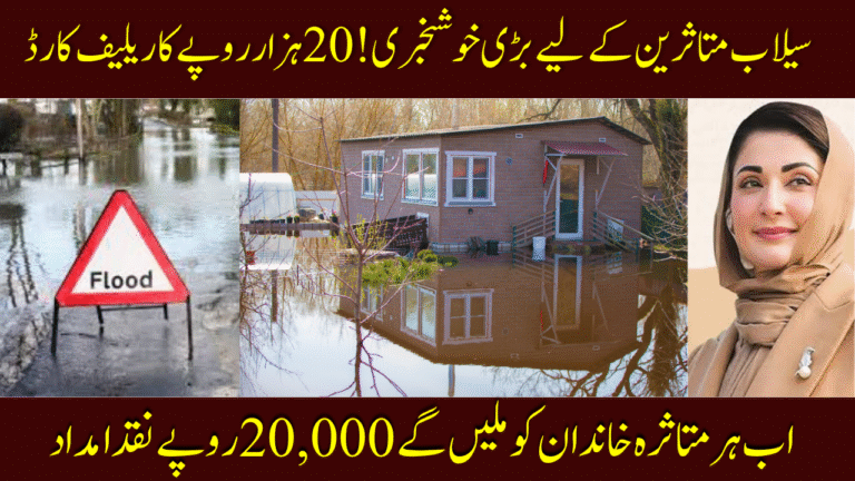 Punjab Flood Relief Card