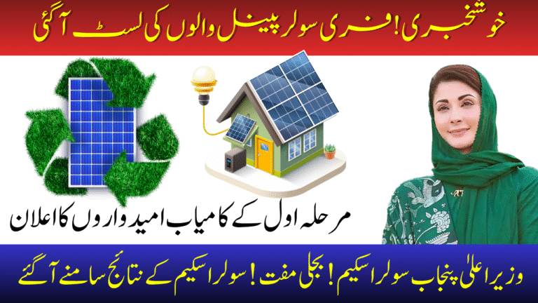 CM Punjab Solar Scheme