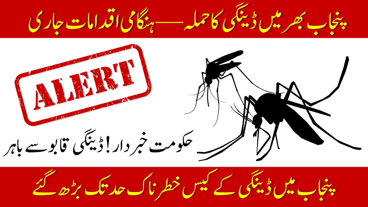 Dengue Cases