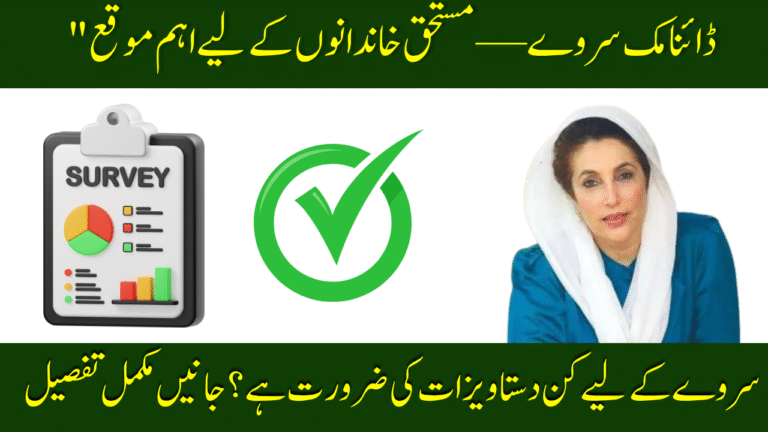 BISP Dynamic Survey
