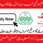 Benazir Kafalat Program