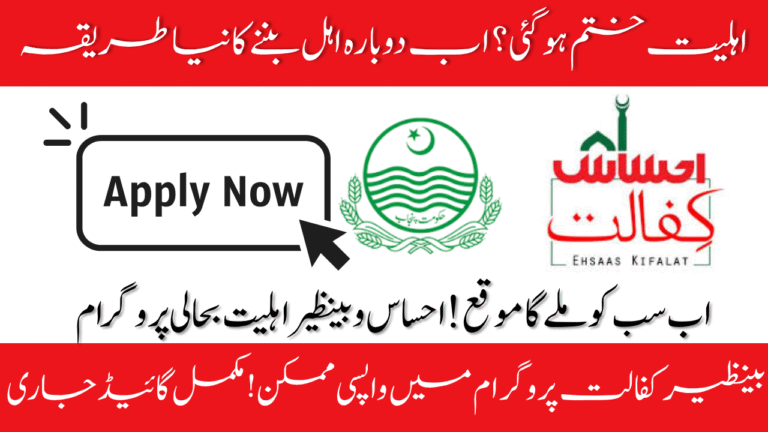 Benazir Kafalat Program