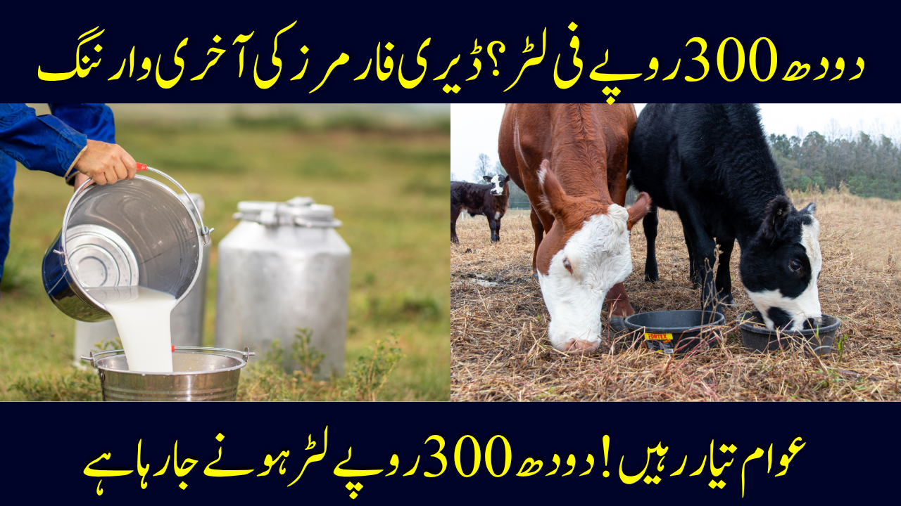 Milk Prices