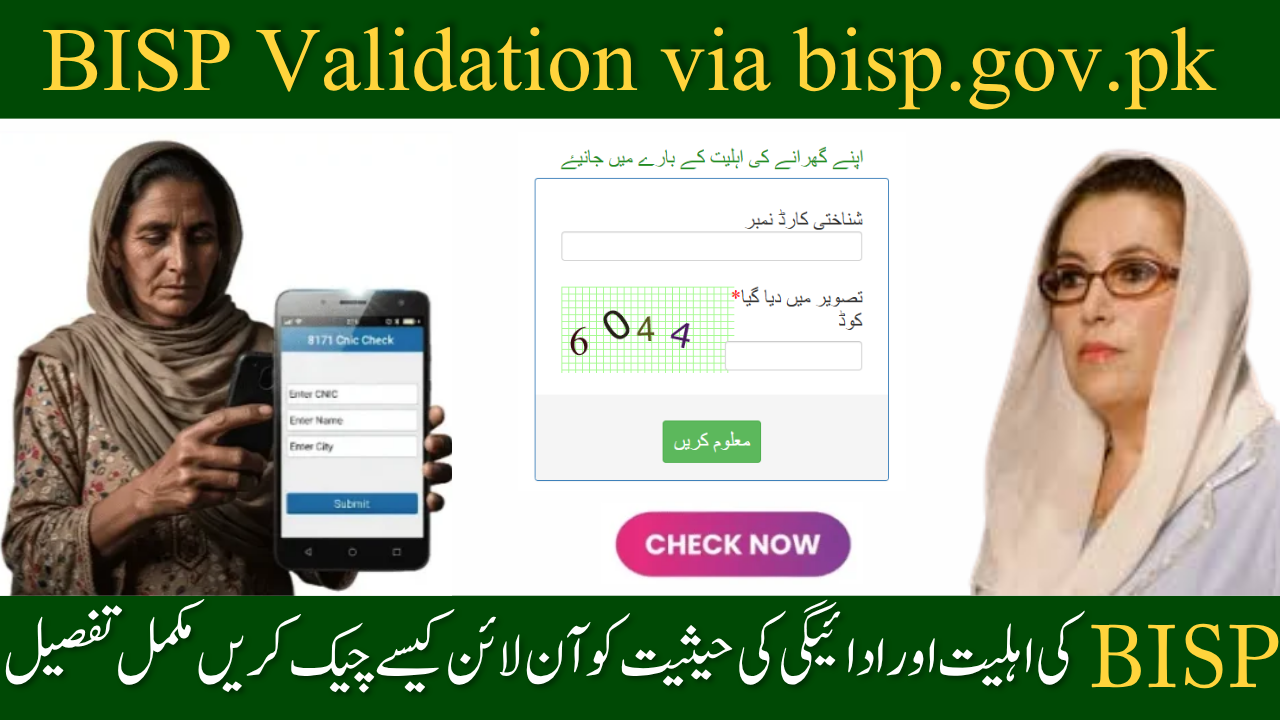 BISP Validation via bisp.gov.pk