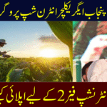 CM Punjab Agriculture Internship Program