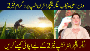 CM Punjab Agriculture Internship Program