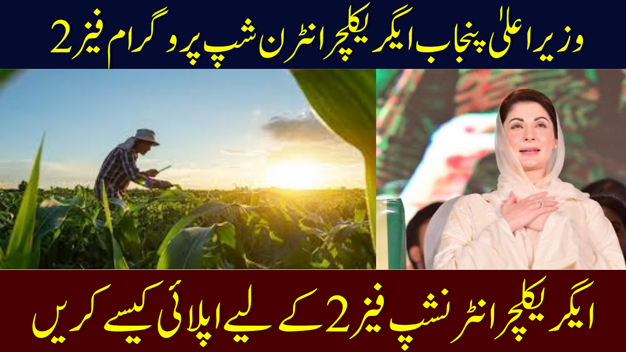 CM Punjab Agriculture Internship Program