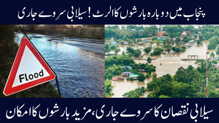 More Rains Forecast in Punjab