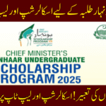 Chakwal Honhaar Scholarship