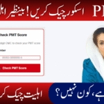 BISP PMT