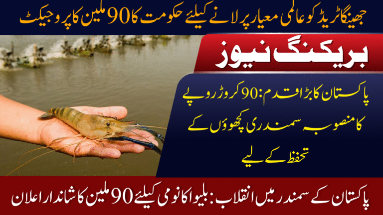 Protect Turtles and Boost Shrimp Trade