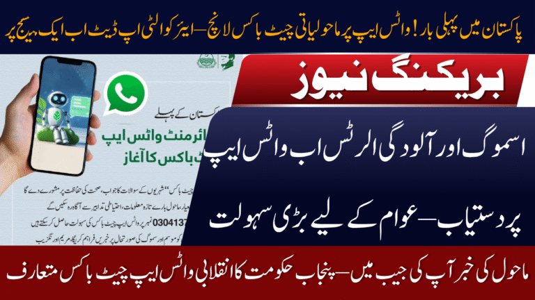 First Environment WhatsApp Chat Box