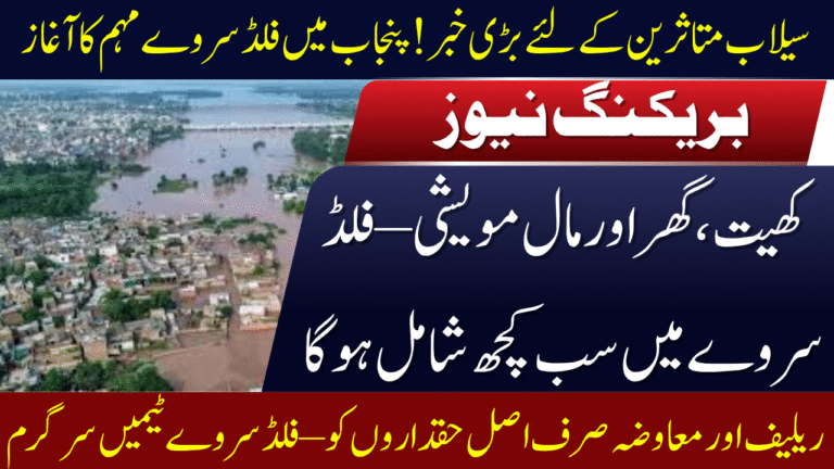Flood Survey Campaign