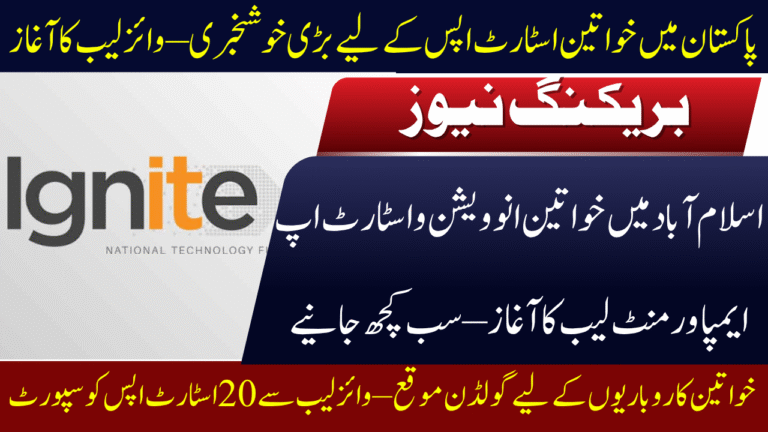 Women Innovation and Startup Empowerment Lab