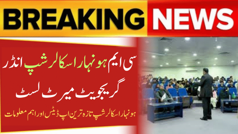 CM Honhaar Scholarship Undergraduate