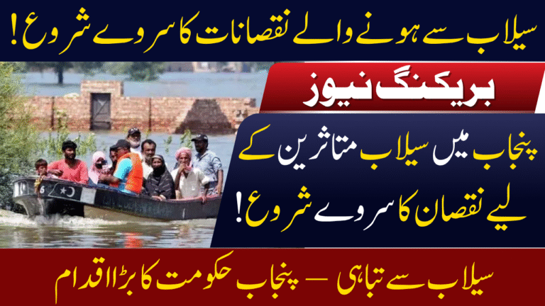 Punjab Flood Damage Survey