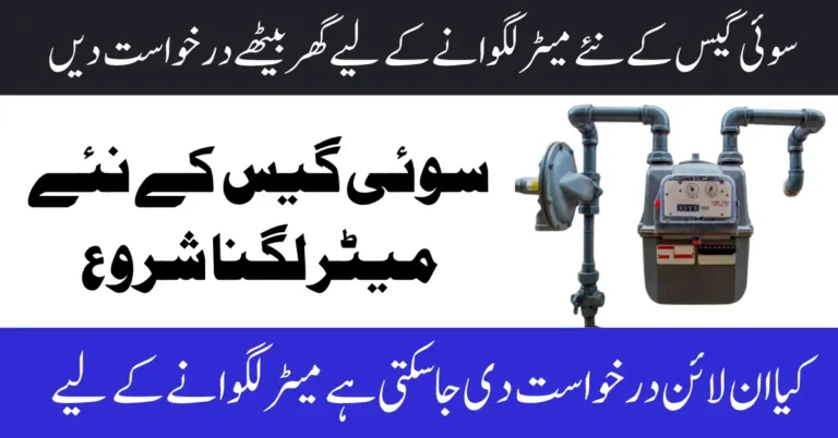 Apply Online for New Domestic Gas Connection 2025