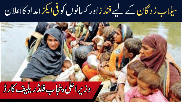 CM Punjab Flood Relief Card