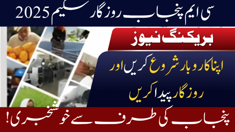 CM Punjab Rozgar Scheme