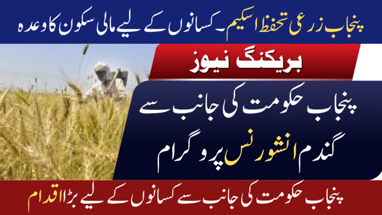 Punjab Crop Insurance Scheme