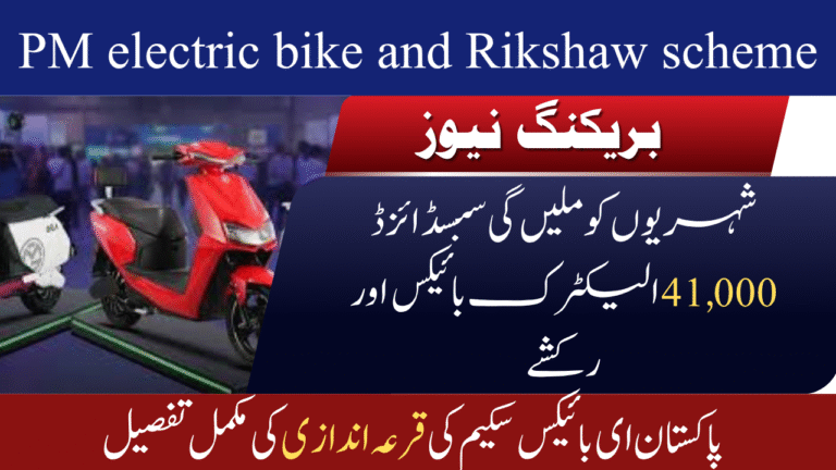 PM Electric Bike & Rickshaw
