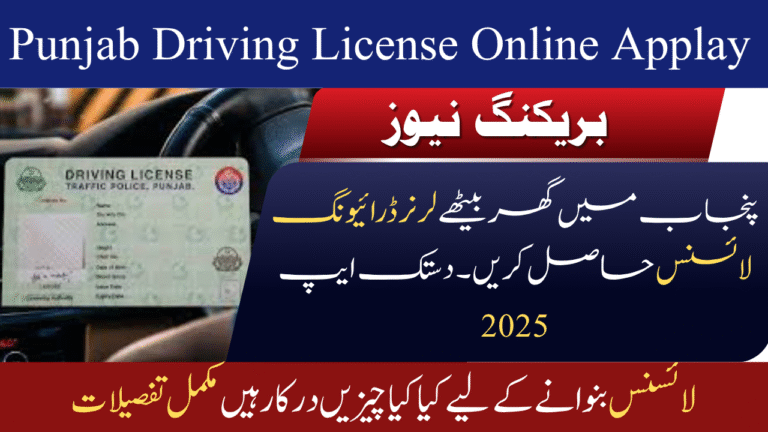 Punjab Driving License