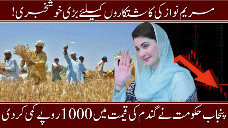 Wheat Seed Price
