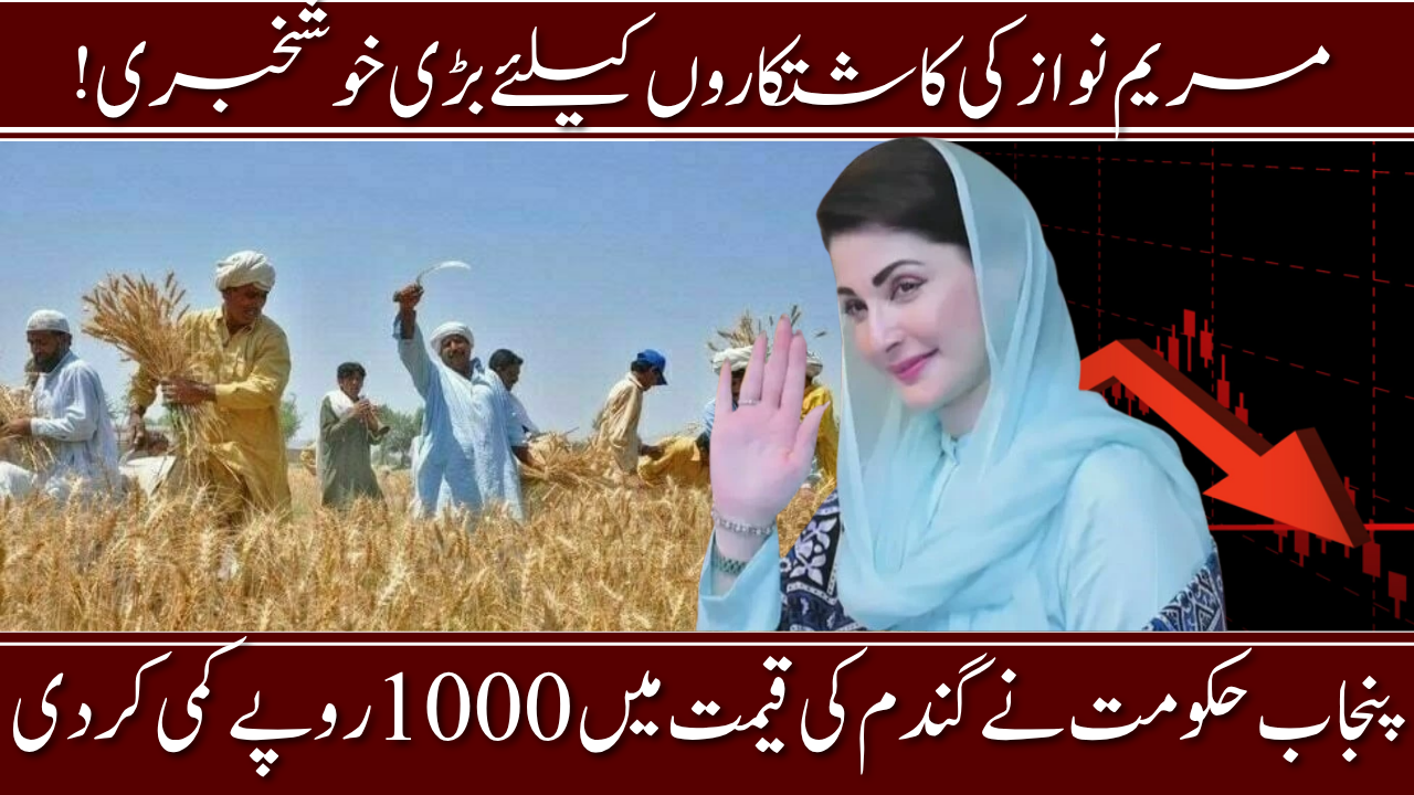 Wheat Seed Price