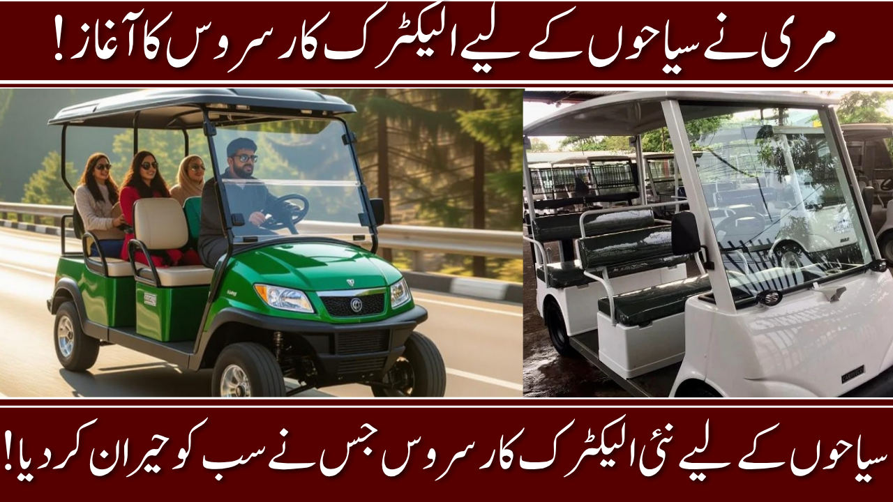 Electric Car Service