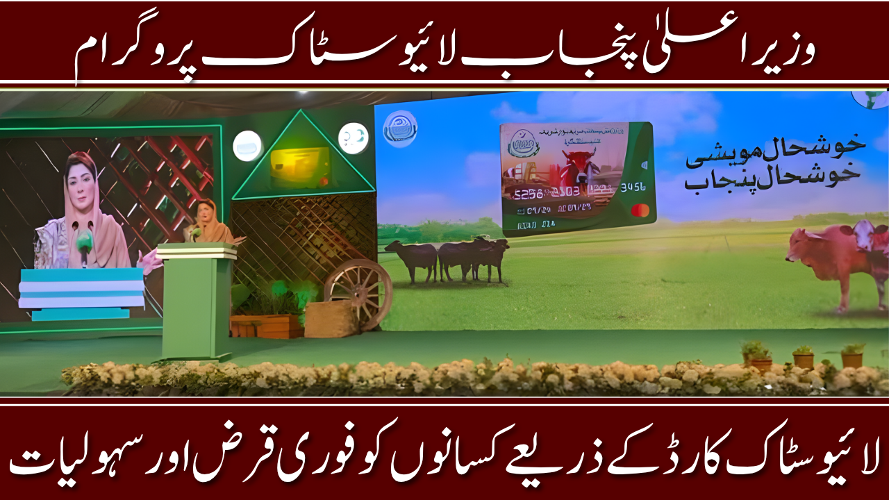 Punjab Livestock Card