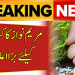 Maryam Nawaz Announces Historic DAP Subsidy