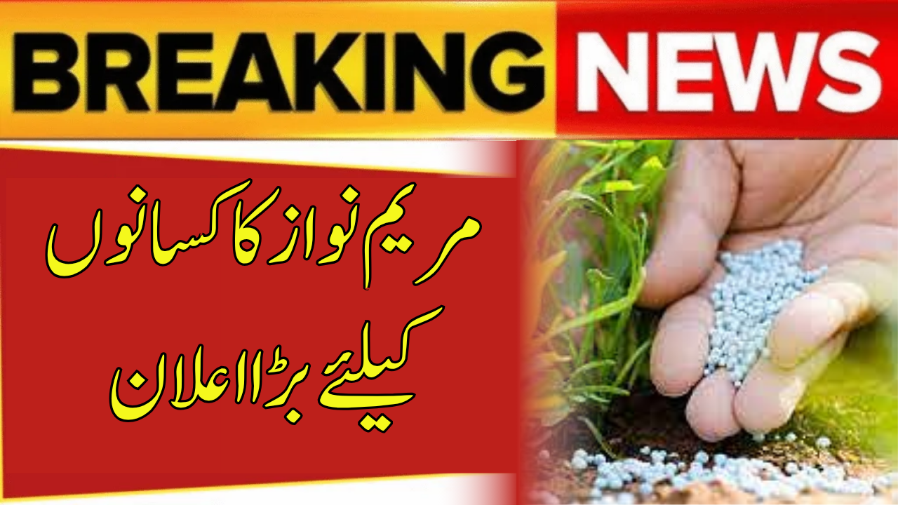 Maryam Nawaz Announces Historic DAP Subsidy